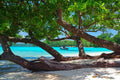 BARRIER BEACH ACCOM