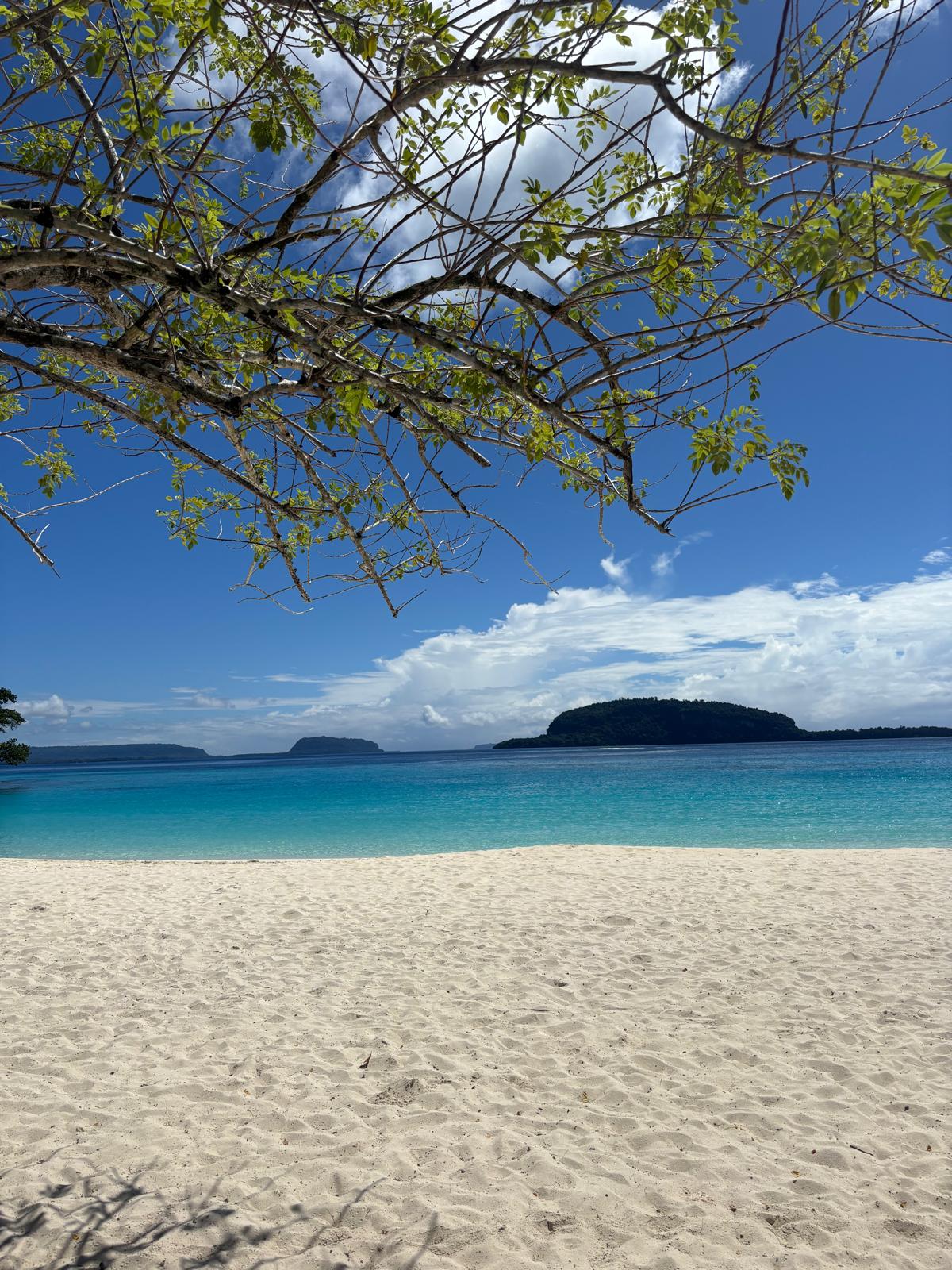 Discover the Magic of Santo